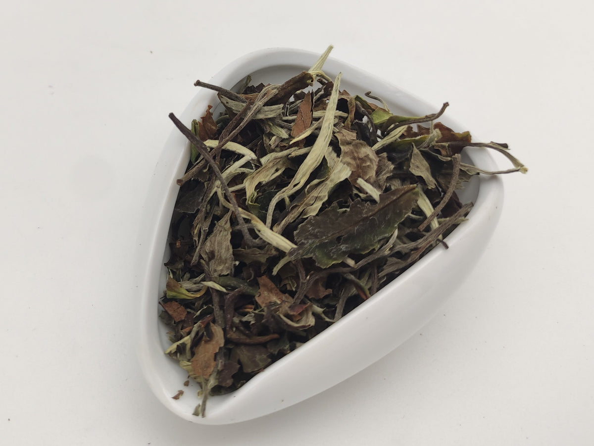 Zheijiang Bai Cha