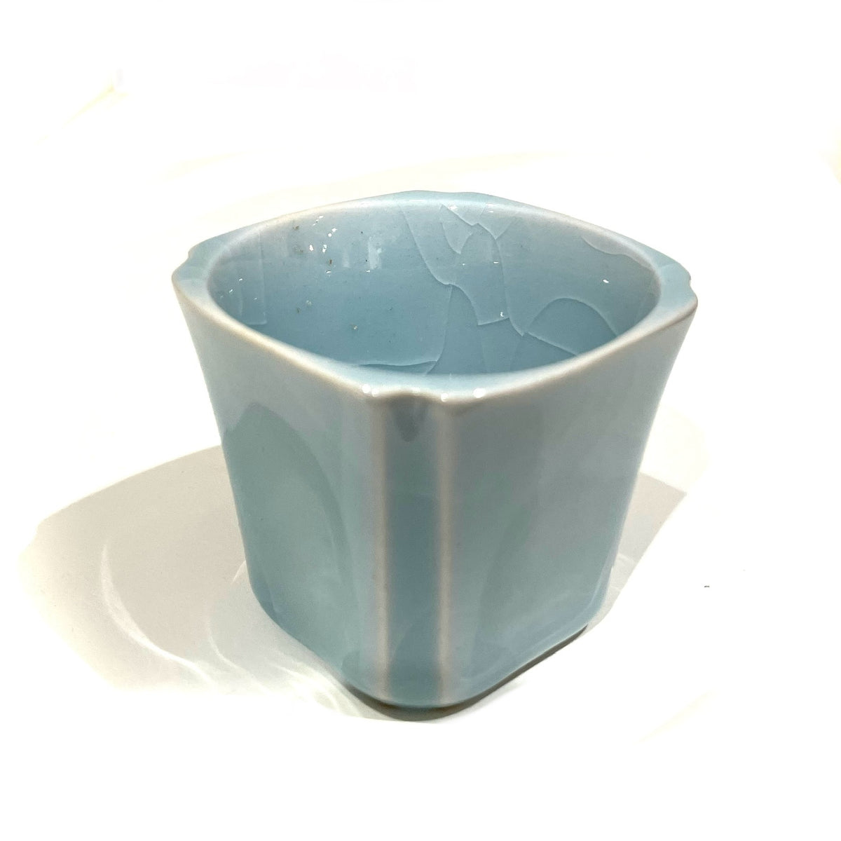 Kung Fu Tea Cup Teeschale (5 verschiedene Farben)